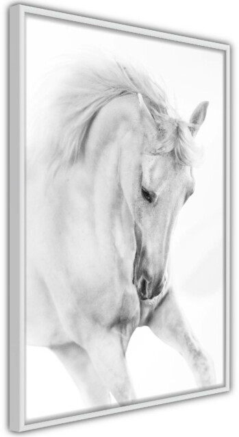 Juliste Artgeist White Horse kehyksillä eri kokoja