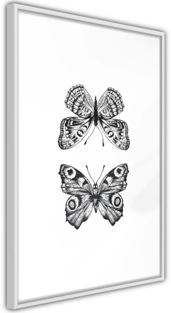 Juliste Artgeist Two Butterflies kehyksillä eri kokoja