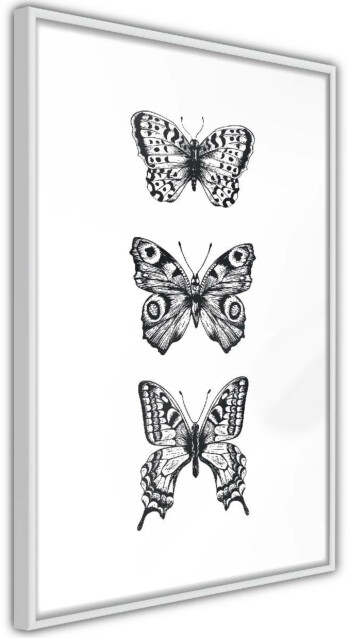 Juliste Artgeist Three Butterflies kehyksillä eri kokoja