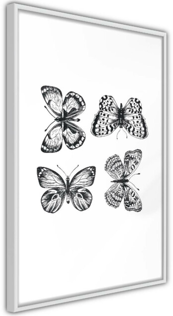 Juliste Artgeist Four Butterflies, kehyskartongilla, kehyksillä, eri kokoja