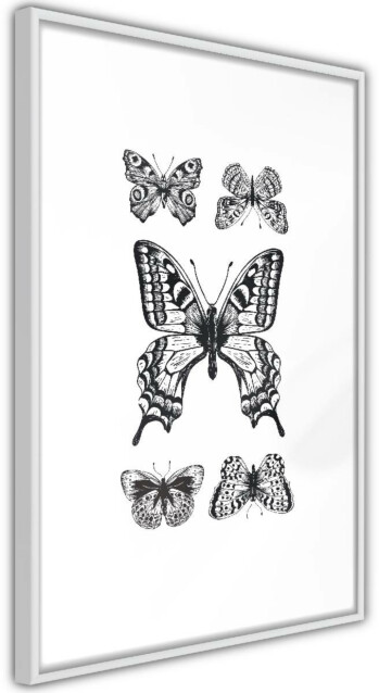 Juliste Artgeist Five Butterflies kehyksillä eri kokoja