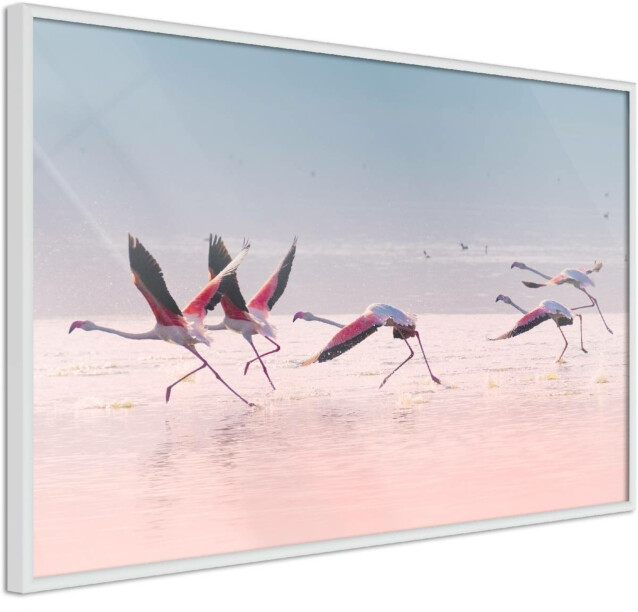 Juliste Artgeist Flamingos Race kehyksillä eri kokoja
