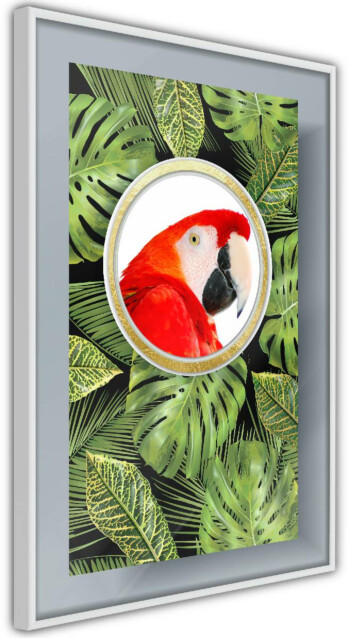 Juliste Artgeist Parrot In The Jungle, kehyskartongilla, kehyksillä, eri kokoja