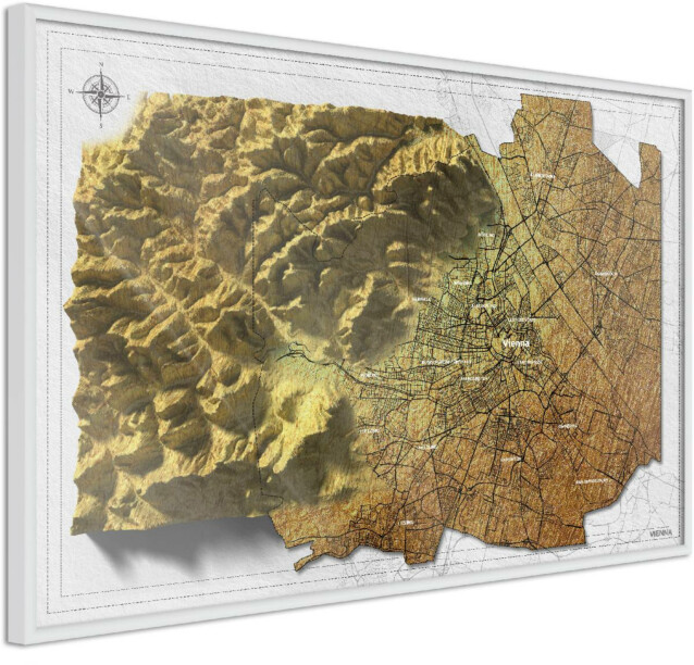 Juliste Artgeist Isometric Map: Vienna, kehyskartongilla, kehyksillä, eri kokoja