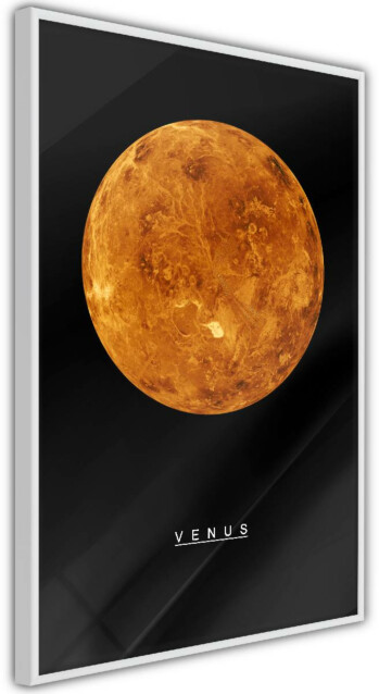 Juliste Artgeist Venus, kehyskartongilla, kehyksillä, eri kokoja