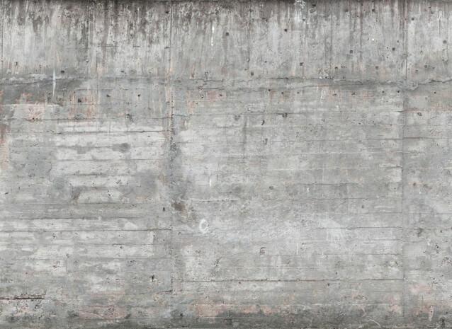 Kuvatapetti A.S. Creation Designwalls Concrete Wall, 350x255cm, harmaa