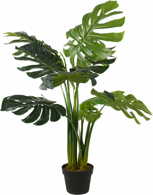 Tekokasvi Lykke Monstera Plant, 115cm