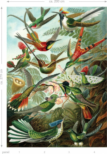Kuvatapetti Esta Paradise XL Birds Tropical Jungle Green 2x2,79m